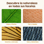 Microscopio de Aventuras